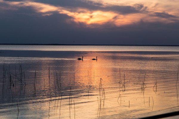 Белорусское море озеро Нарочь