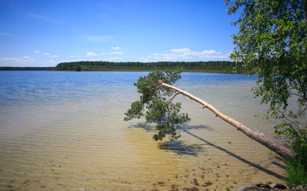 Белое озеро Нарочь