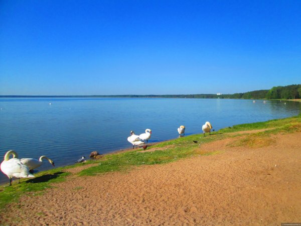 Озеро Нарочь