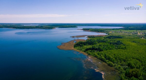 Оз Нарочь Белоруссия