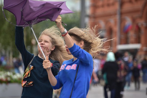 Сильный ветер