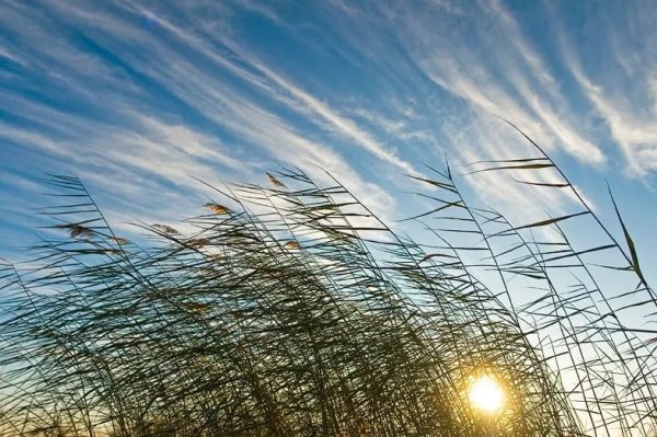 Народный праздник Федул ветренник