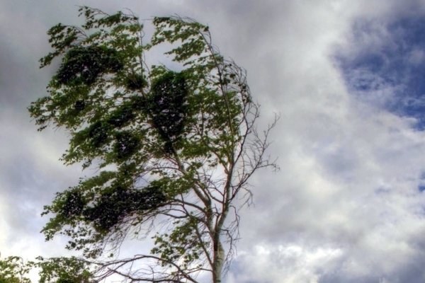 Шквалистое усиление ветра