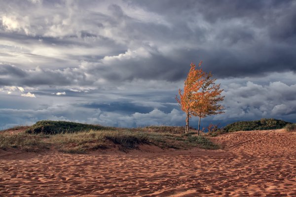 Сильный осенний ветер