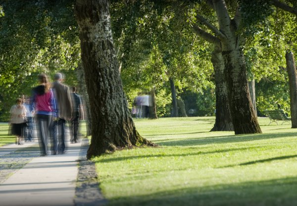 В парке летом