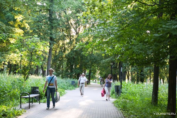 Кулибина парк пикник