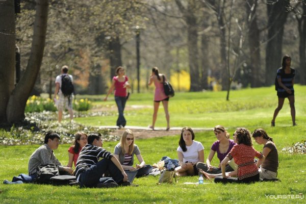 Люди на траве в парке