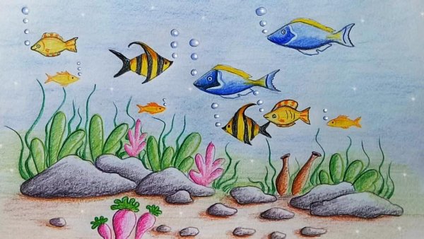 Морское дно рисунок