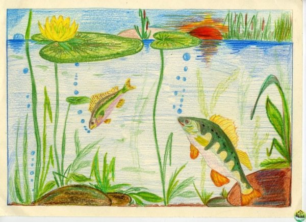 Обитатели рек и озер