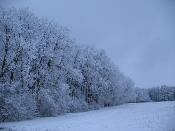 Зима холодно