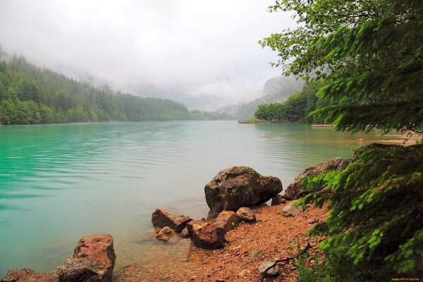 Берег реки с воды