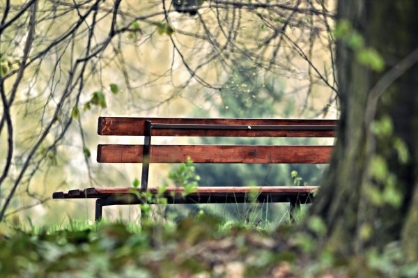 Ломовской парк скамья