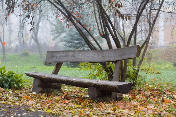 Скамейка в парке