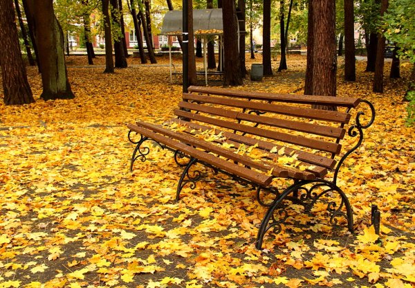 Скамейка в парке