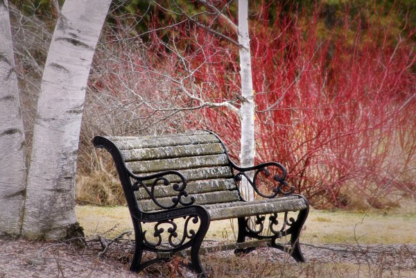 Весенний парк лавочка