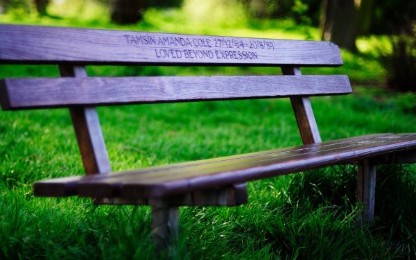 Деревянная скамейка в парке