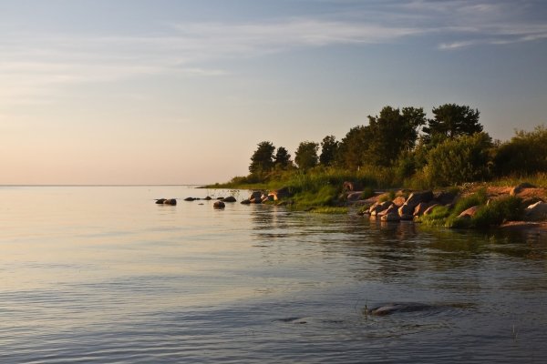 Чудское озеро деревня Ветвеник