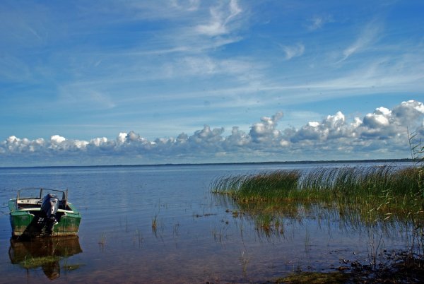 Псков озеро Псковское