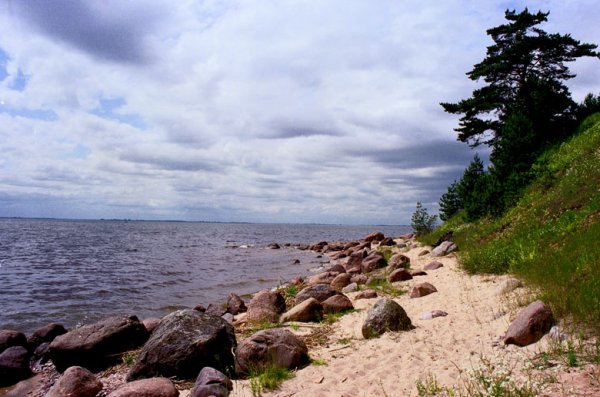 Берег Чудское озеро Псков