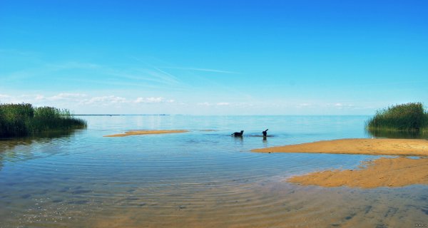 Чудское озеро Псков