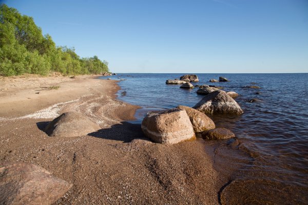 Гдов Чудское озеро