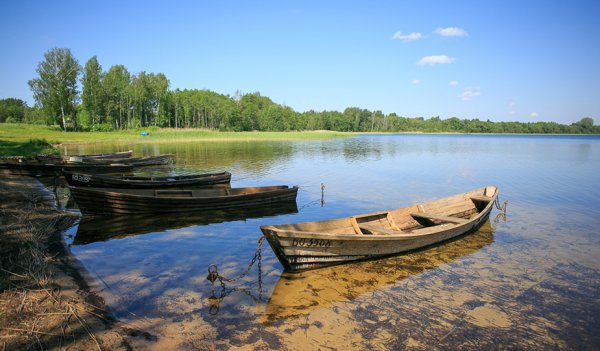 Браславские озера осенью
