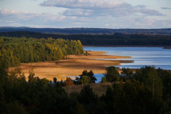Браславские озера осенью