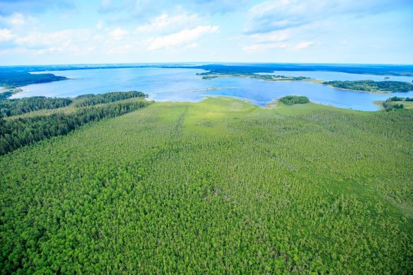 Браславские озера Нарочь Дривяты