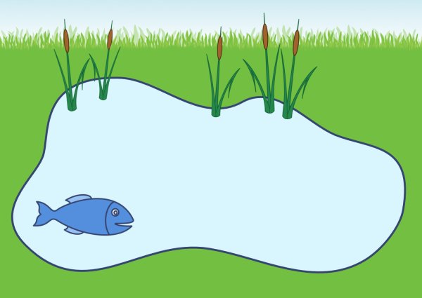 Фон водоема для детей