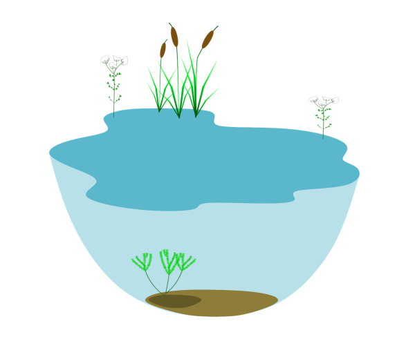 Водоем вектор