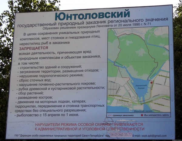 Юнтоловский заказник Санкт-Петербург
