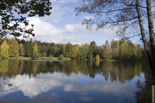 Шуваловский парк озера