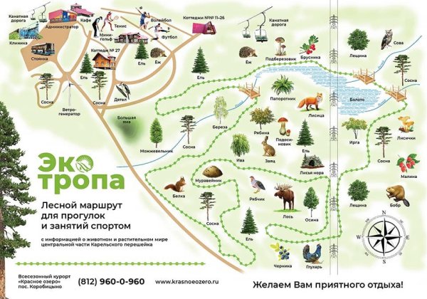 Эко тропы лен обл