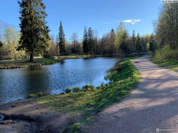 Шуваловский парк гора Парнас