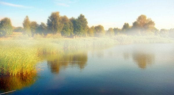 Озеро утром