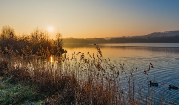 Озеро Дивное Калининград