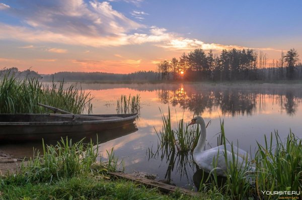 Пруд Журавлиная заводь