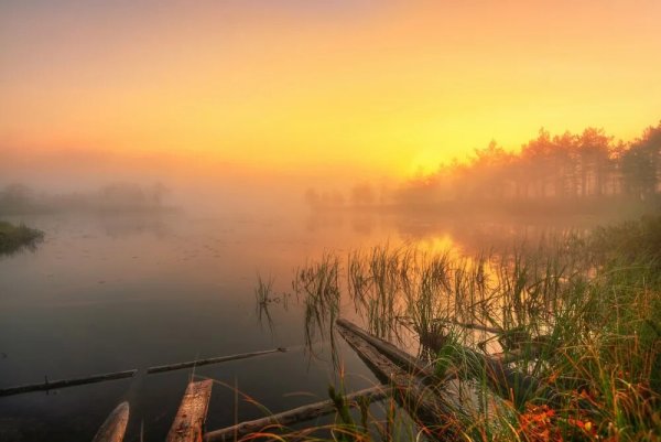 Восход над озером