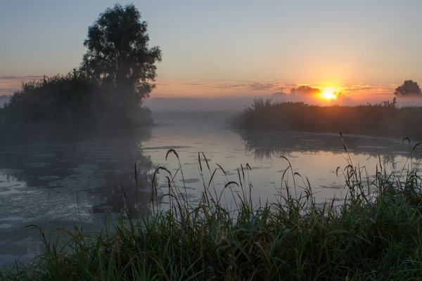 Рассвет Самарская область