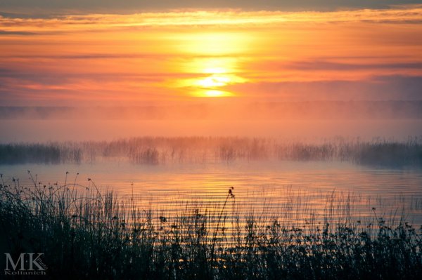 Плещеево озеро осень