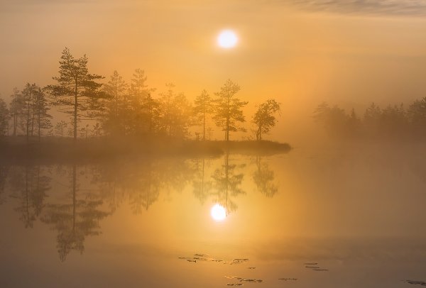 Туманное озеро Ленинградская область