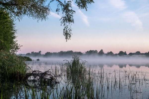 Лабза на озере