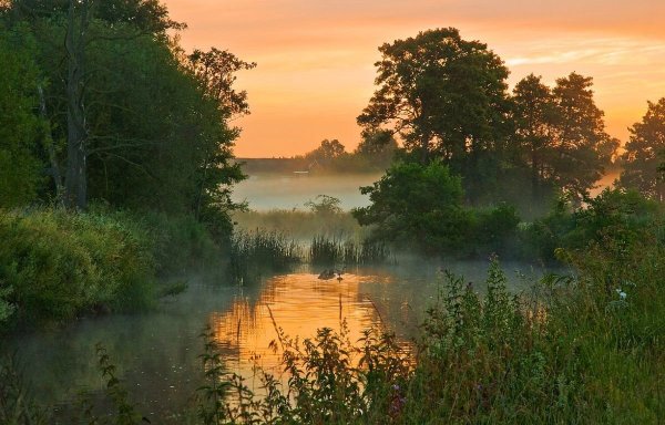 Речные заводи фотопейзажи