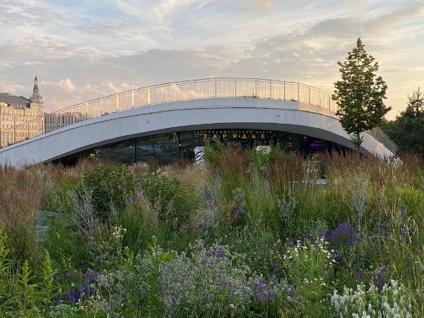 Парк Зарядье