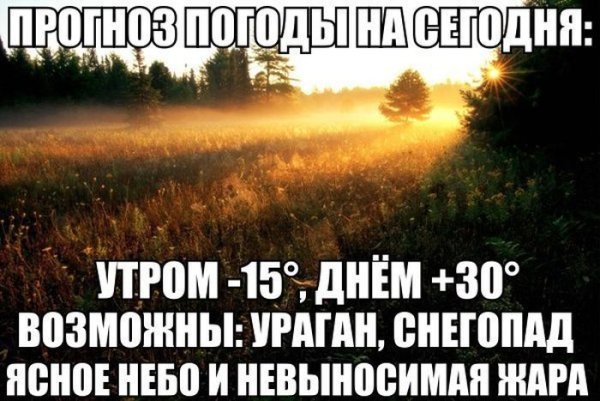 Смешные цитаты про погоду