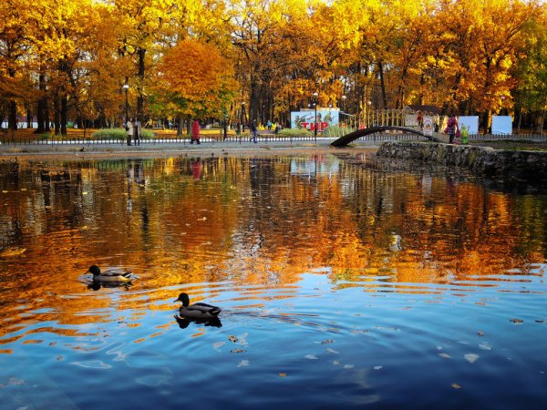 Парк Гагарина осенью Самара