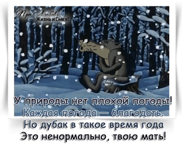 Смешные статусы про холод