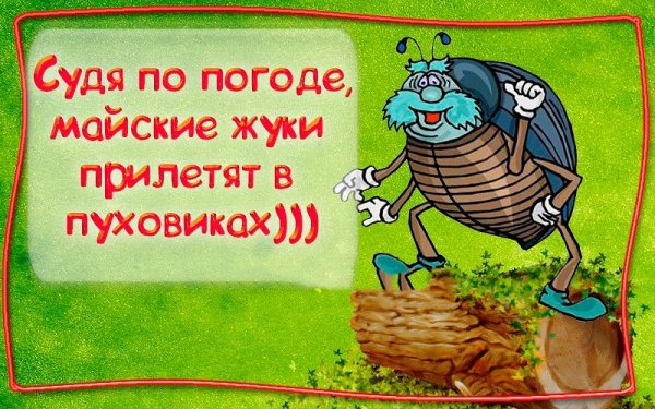 Майский Жук смешной