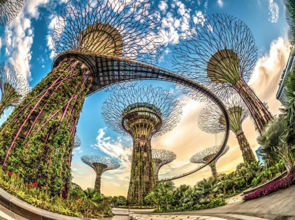 Город сад будущего