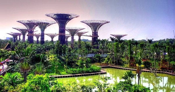 Сады будущего и супердеревья в Сингапуре
